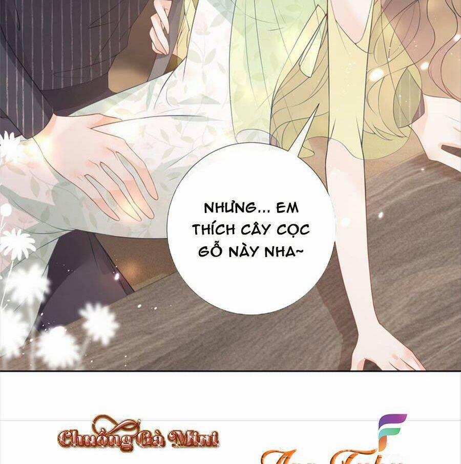 Boss Sát Thủ Dưỡng Hồ Yêu 77 trang 15