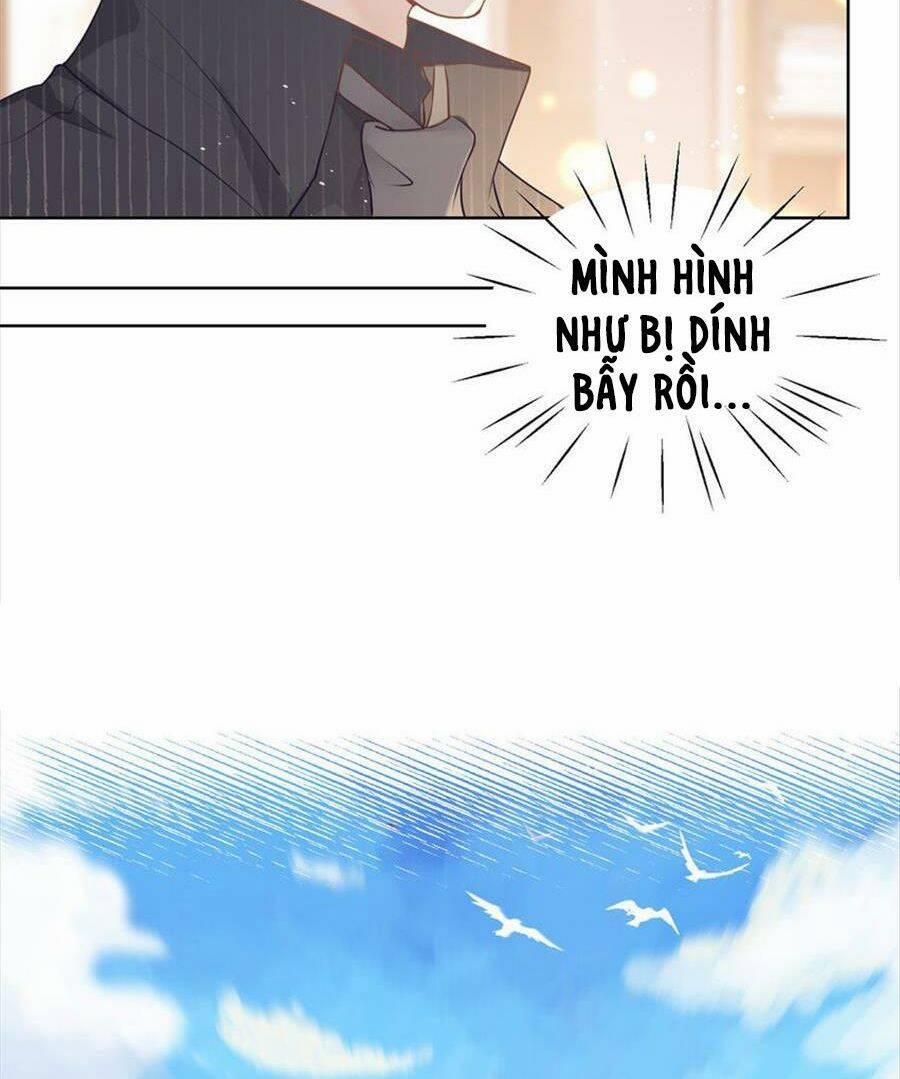 Boss Sát Thủ Dưỡng Hồ Yêu 78 trang 17