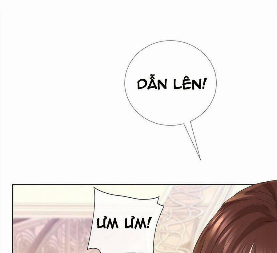 Boss Sát Thủ Dưỡng Hồ Yêu 79 trang 15