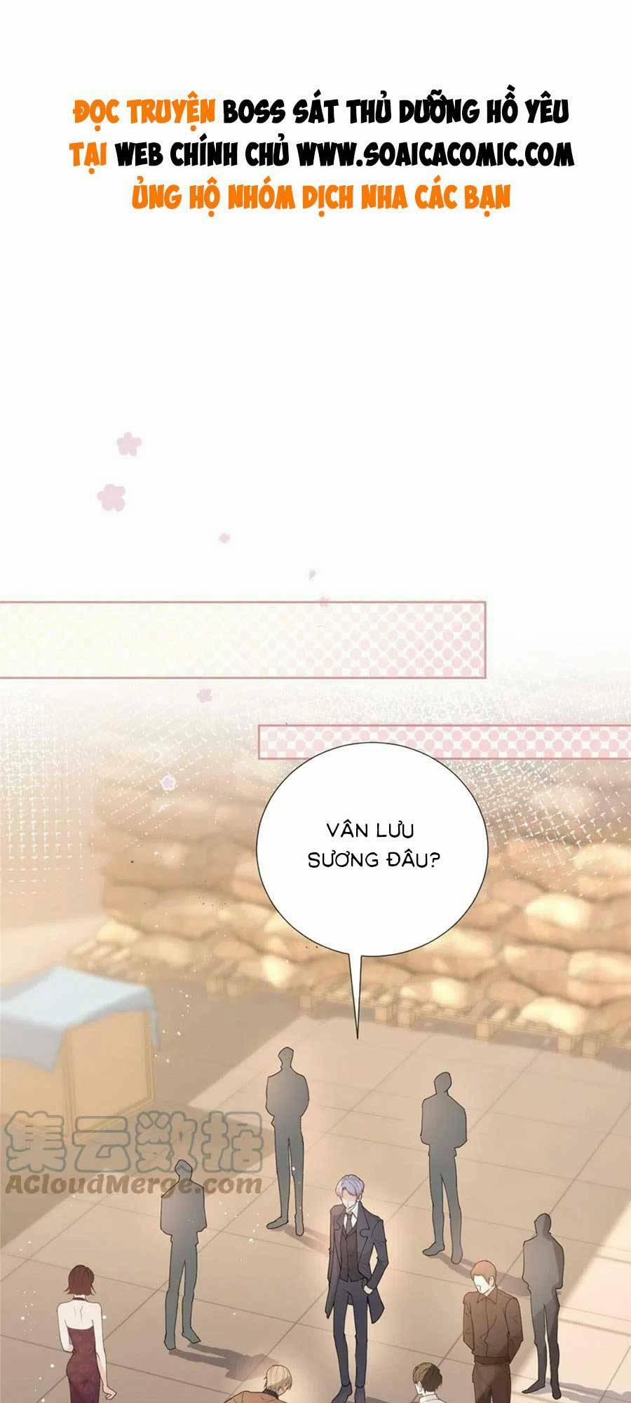 Boss Sát Thủ Dưỡng Hồ Yêu 81 trang 0