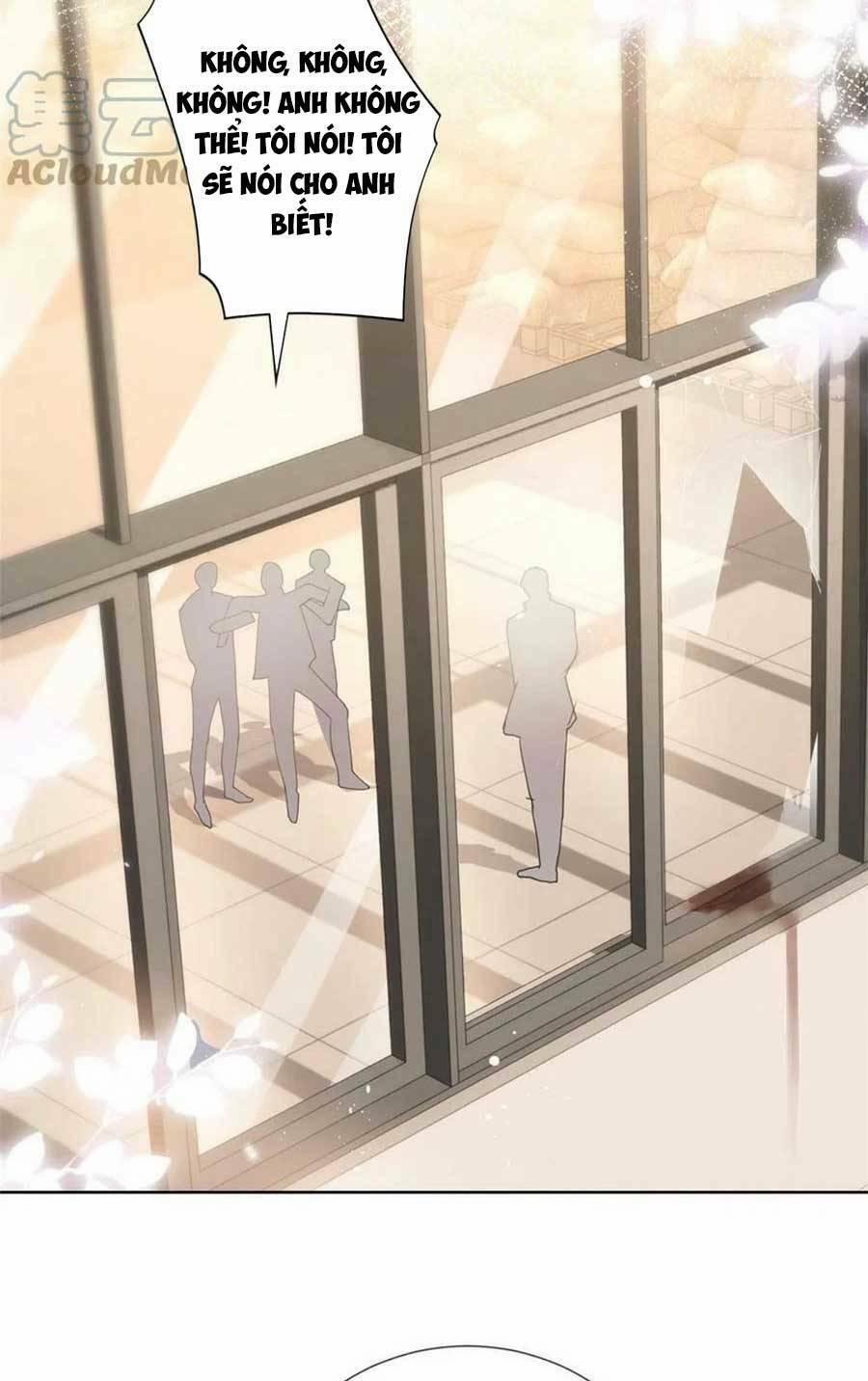 Boss Sát Thủ Dưỡng Hồ Yêu 81 trang 7