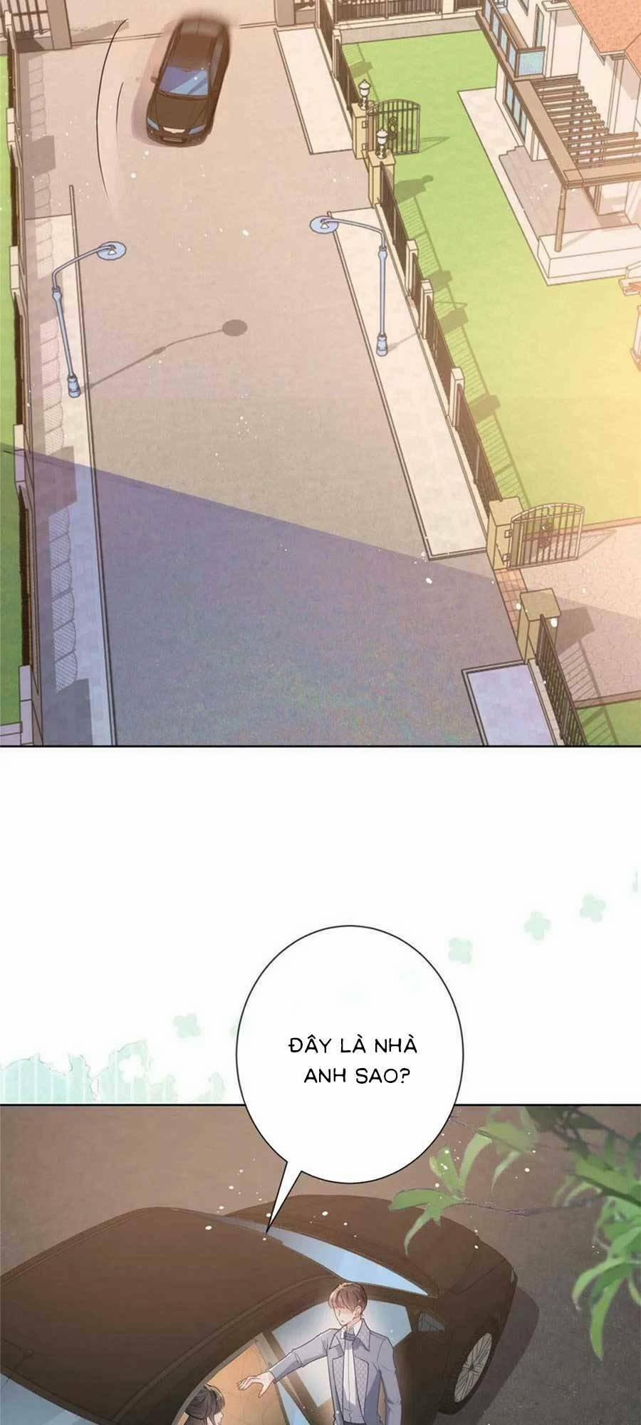 Boss Sát Thủ Dưỡng Hồ Yêu 82 trang 5