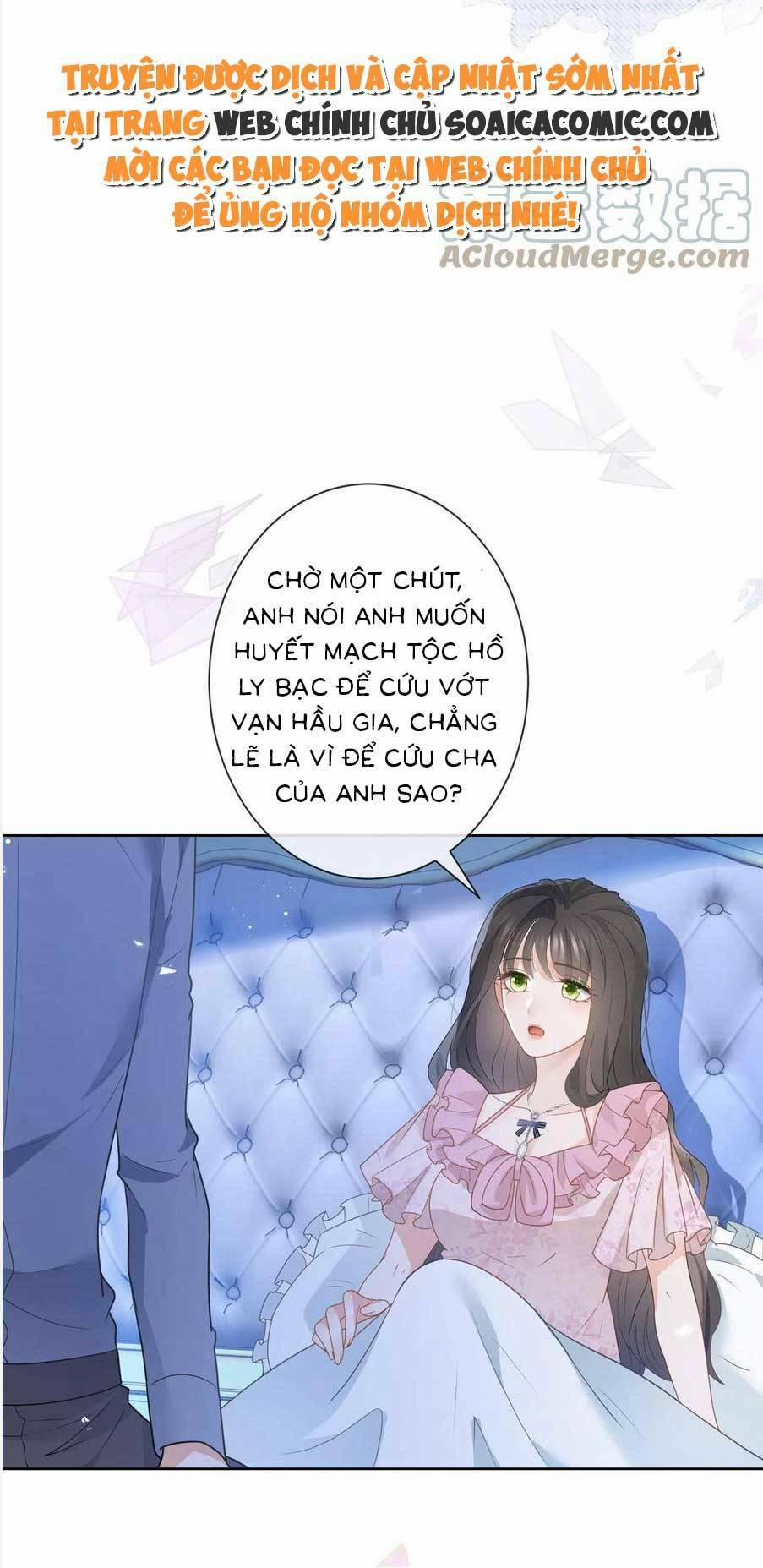 Boss Sát Thủ Dưỡng Hồ Yêu 85 trang 29