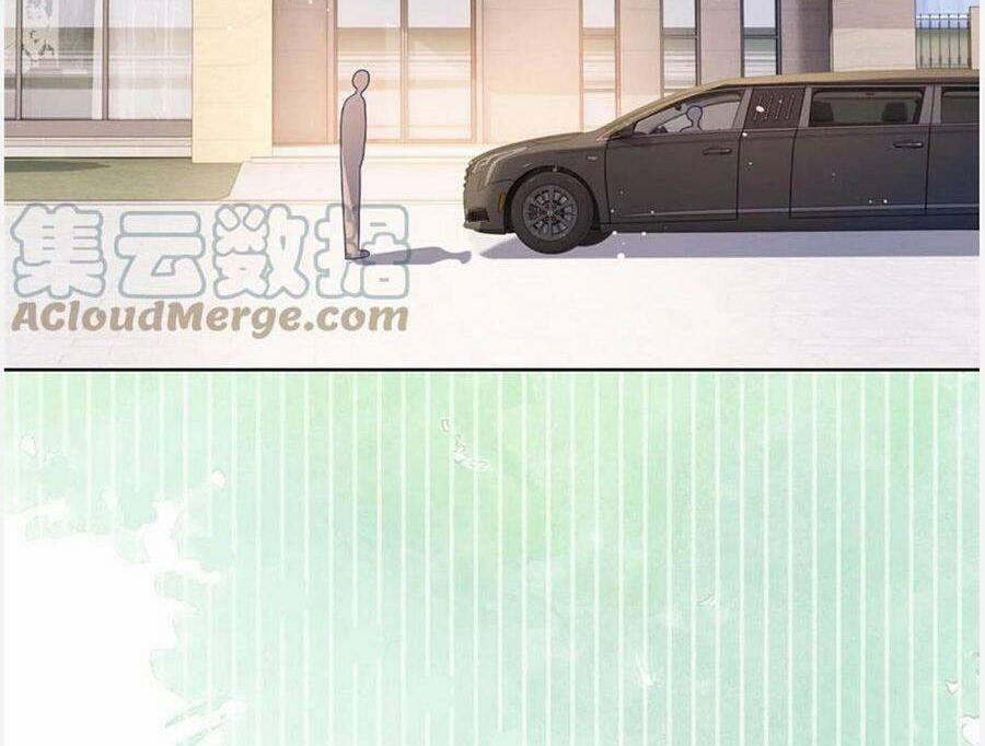 Boss Sát Thủ Dưỡng Hồ Yêu 95 trang 1