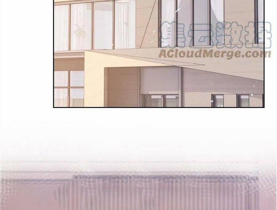 Boss Sát Thủ Dưỡng Hồ Yêu 95 trang 31