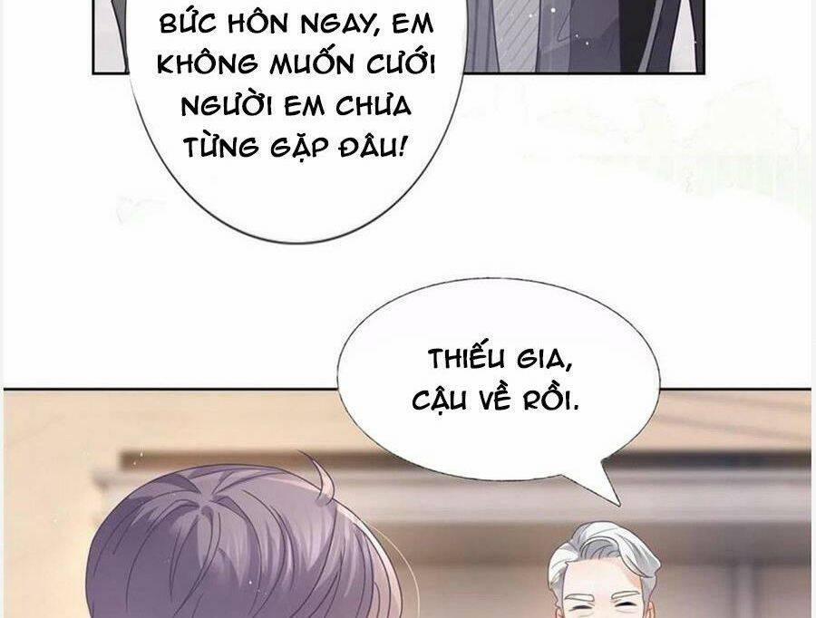 Boss Sát Thủ Dưỡng Hồ Yêu 95 trang 4