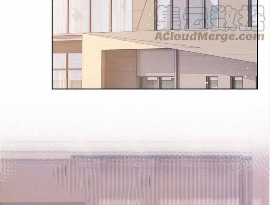 Boss Sát Thủ Dưỡng Hồ Yêu 95 trang 47