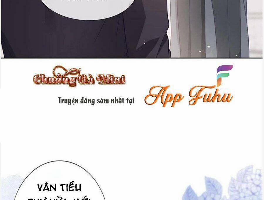 Boss Sát Thủ Dưỡng Hồ Yêu 95 trang 6