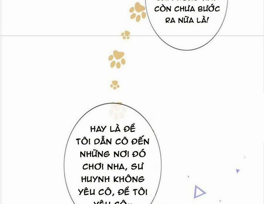 Boss Sát Thủ Dưỡng Hồ Yêu 96 trang 42