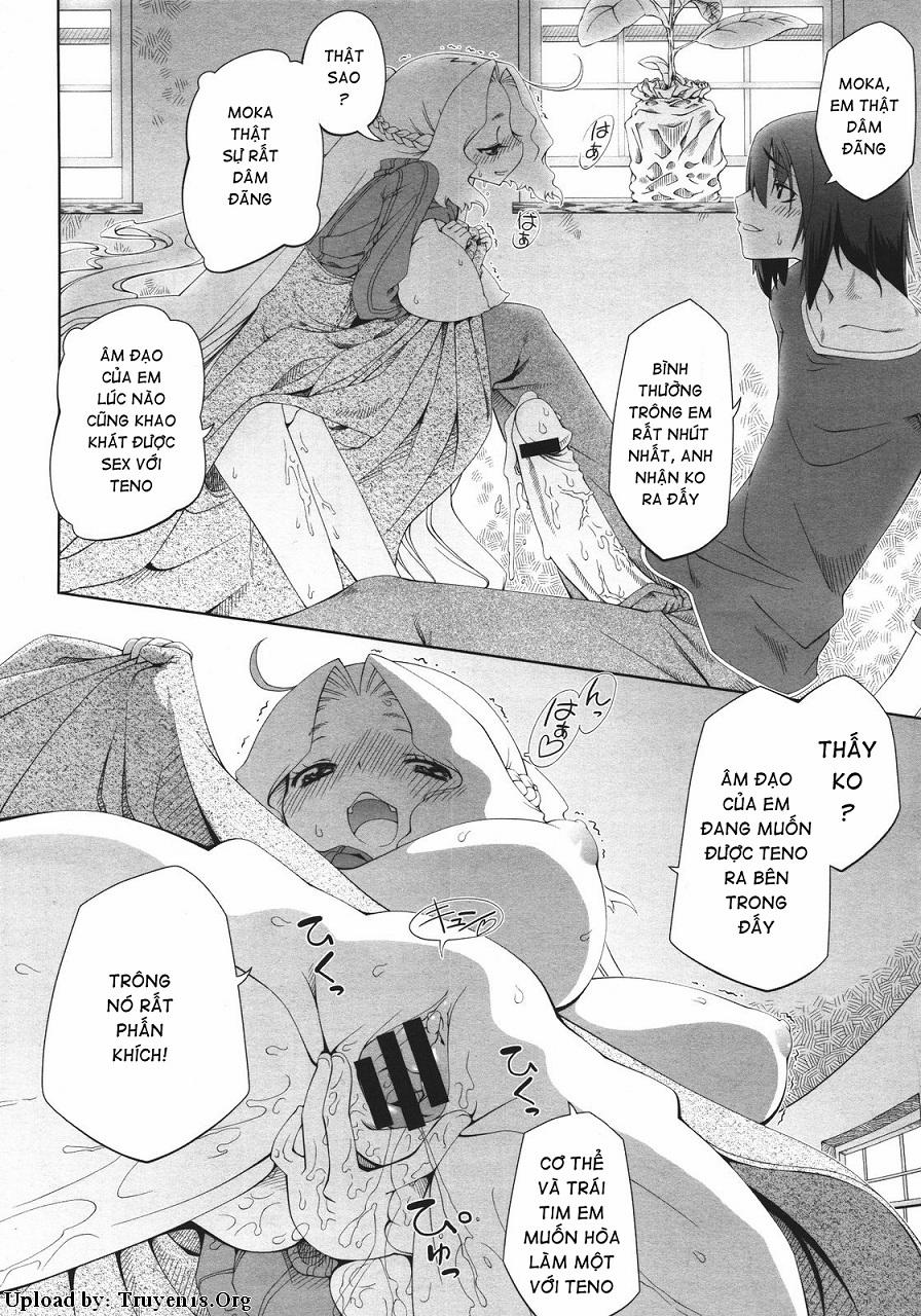 Bright Yellow Blend 1 trang 15