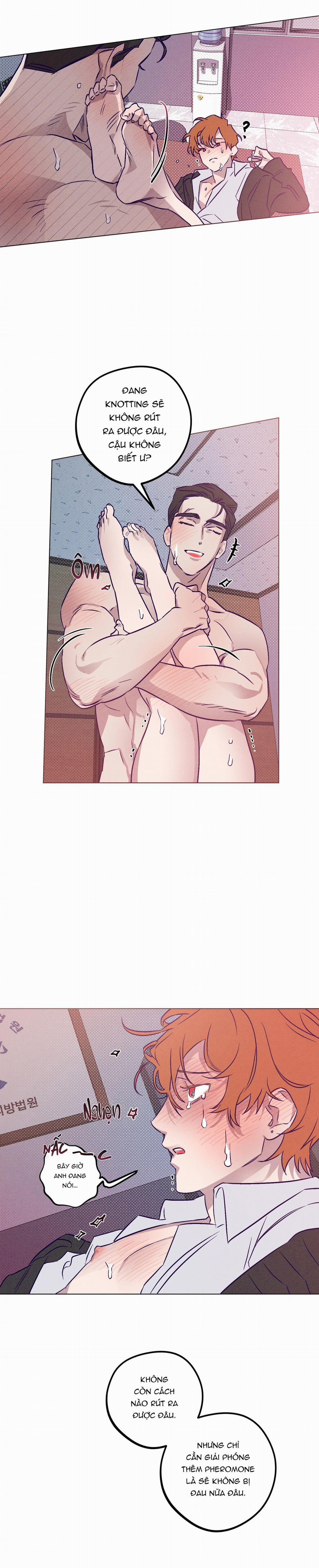 Bữa Sáng Trong Tù 9 H++ trang 15