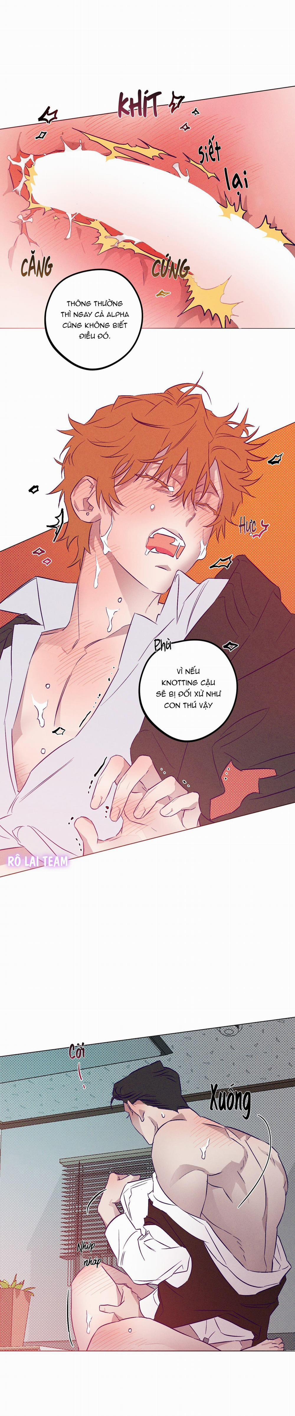 Bữa Sáng Trong Tù 9 H++ trang 9