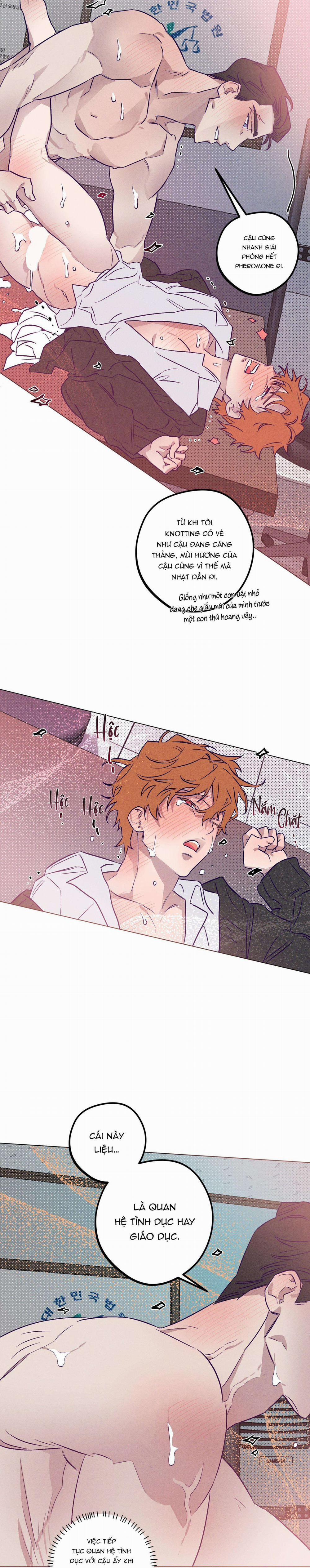 Bữa Sáng Trong Tù 9 trang 17