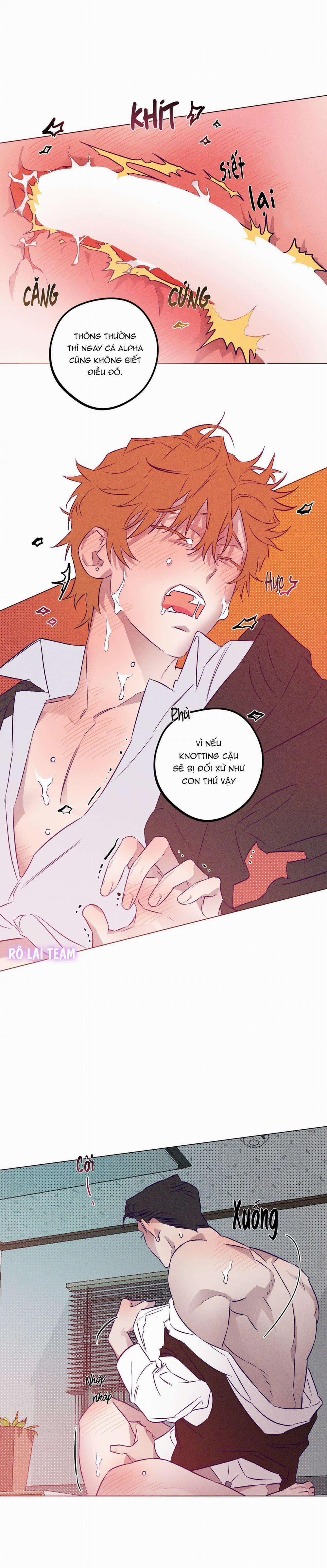 Bữa Sáng Trong Tù 9 trang 9