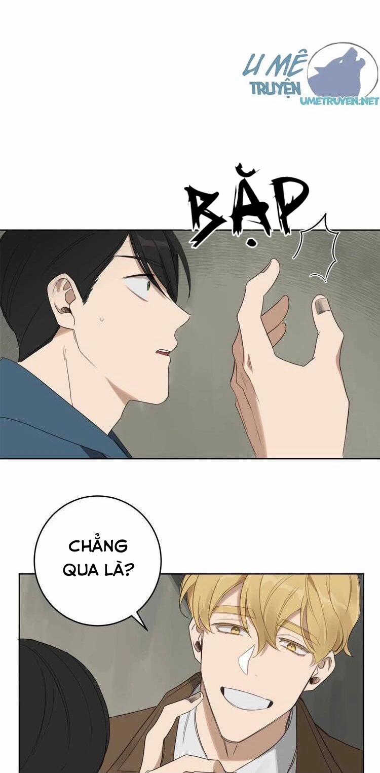 Bữa Tối Lãng Mạn Của Ác Ma 11 trang 10