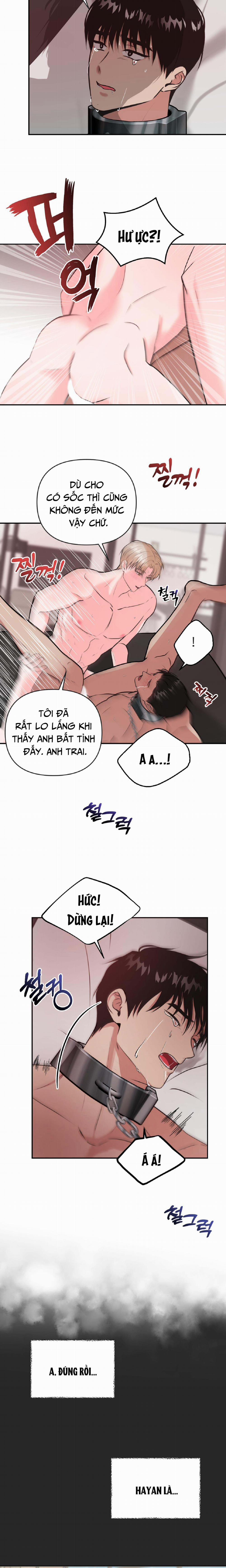 Bức Tranh Ảo Ảnh 3 trang 12