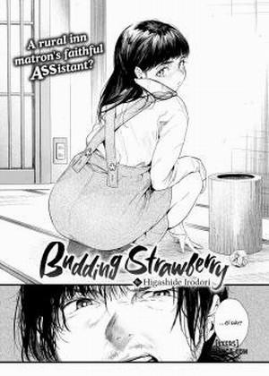 Đọc truyện tranh Budding Strawberry