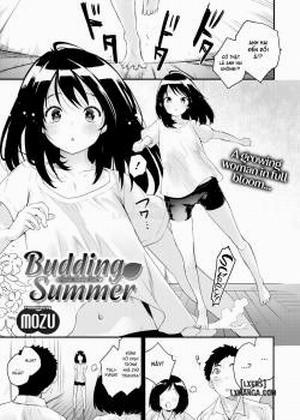 Đọc truyện tranh Budding Summer