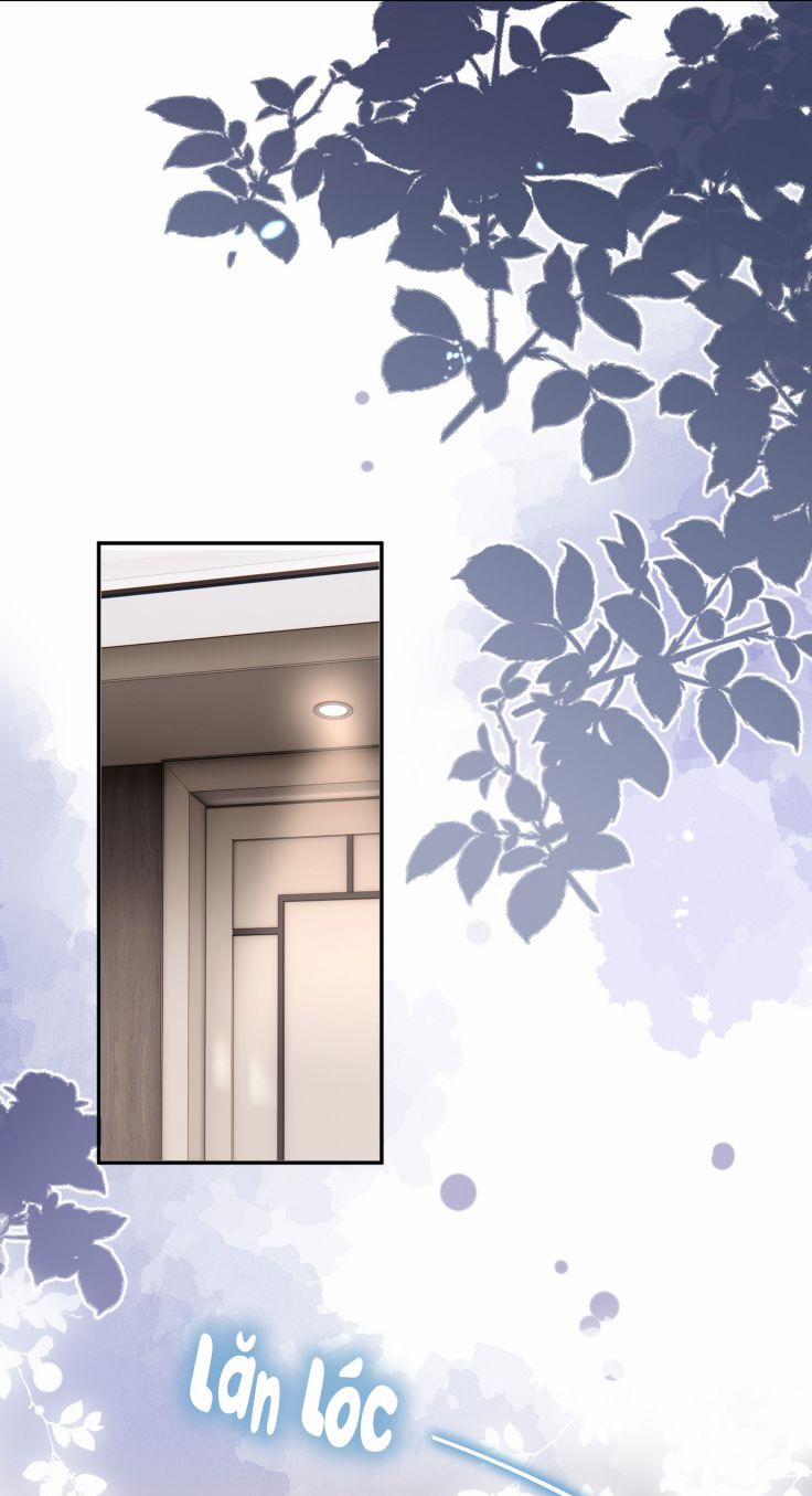 Bùi Bảo 46 trang 46