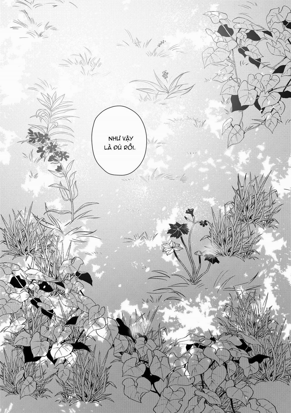 Bước cuối trên lối về 3.1 trang 40