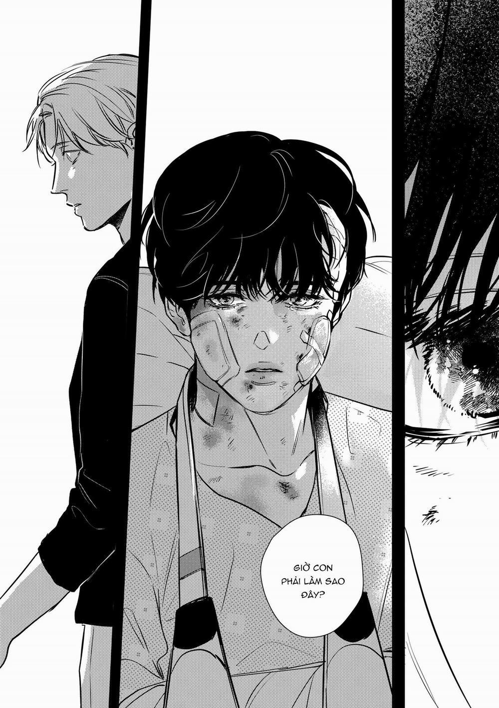 Bước cuối trên lối về 4.2 trang 6