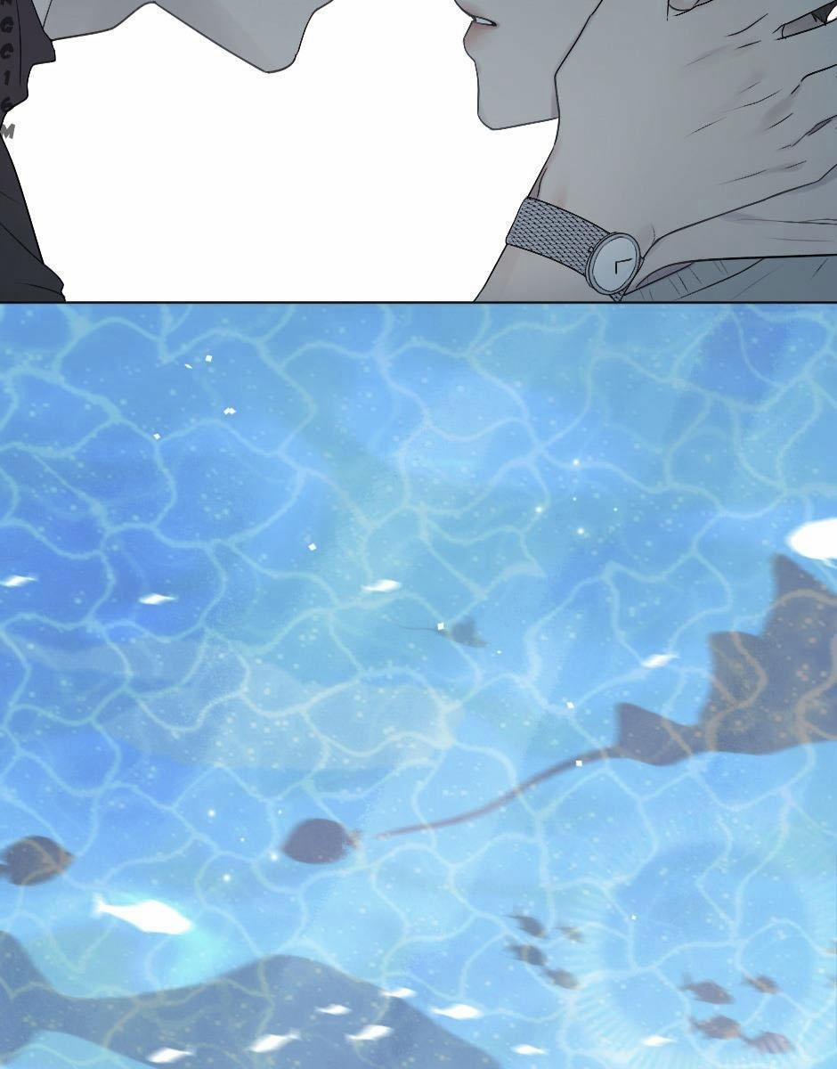 Bước Đến Bên Anh 31 trang 1