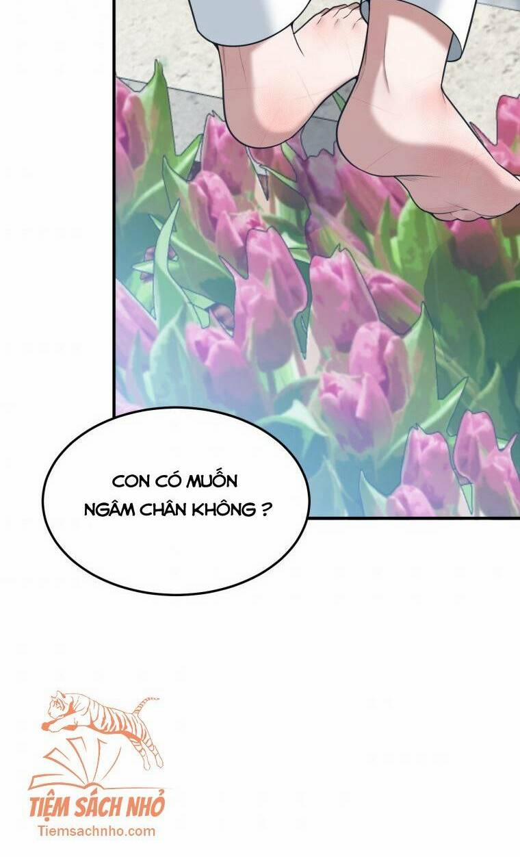 Bước Tới Con Đường Hoa 16 trang 43