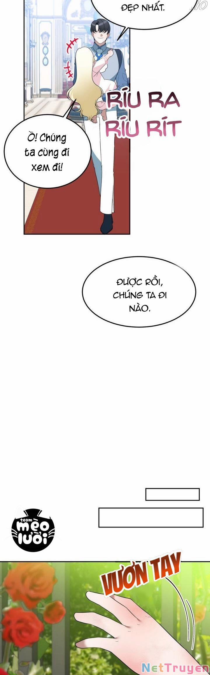 Bước Tới Con Đường Hoa 27 trang 11