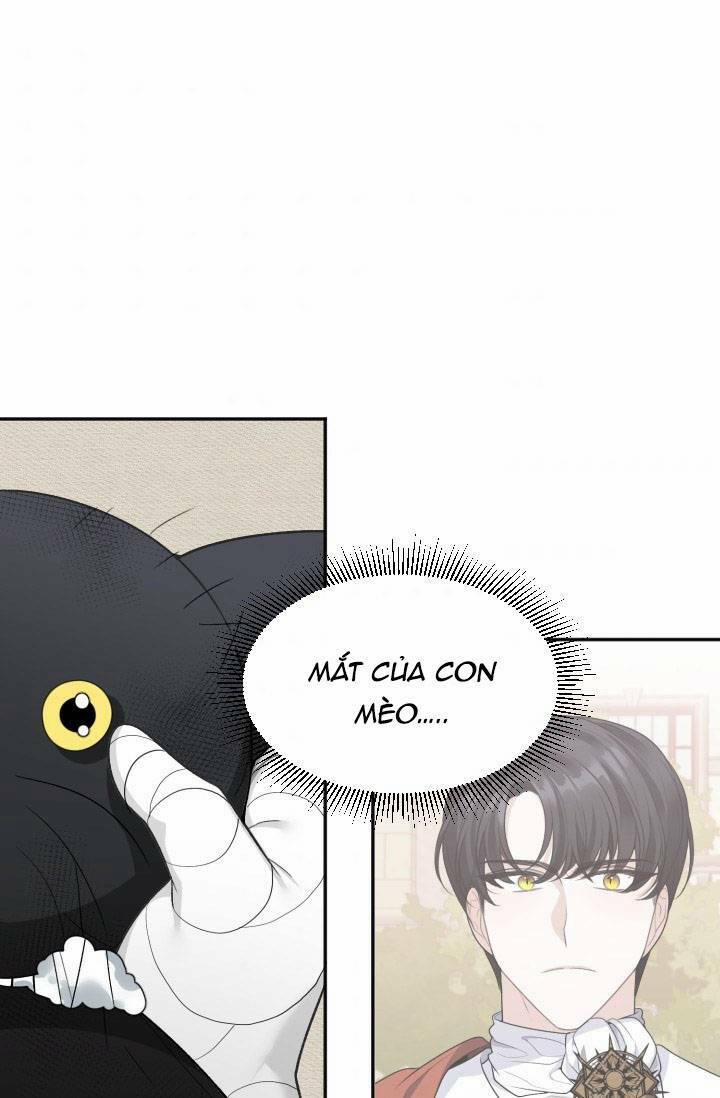 Bước Tới Con Đường Hoa 4 trang 65