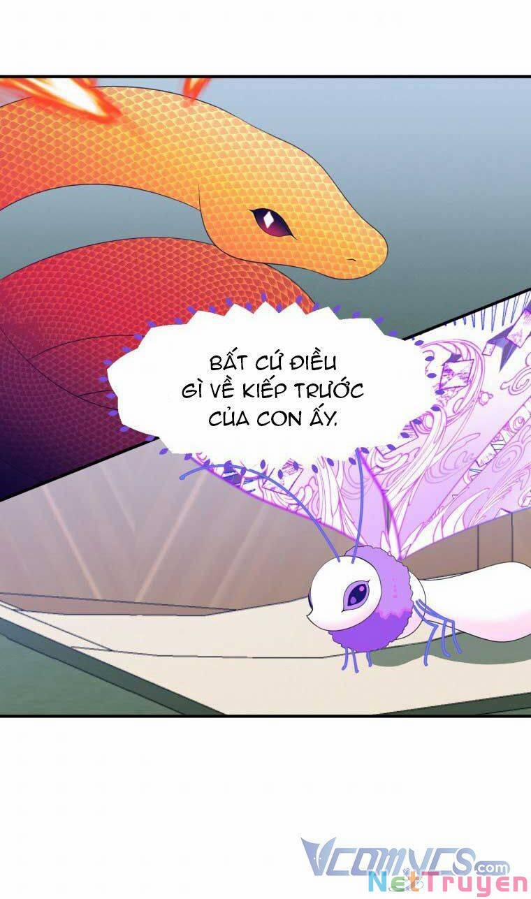 Bước Tới Con Đường Hoa 41 trang 50