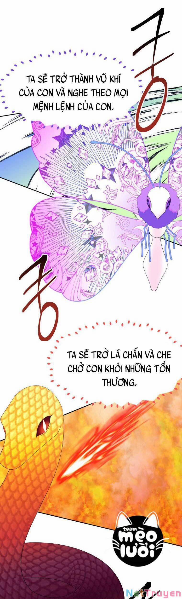 Bước Tới Con Đường Hoa 42 trang 5