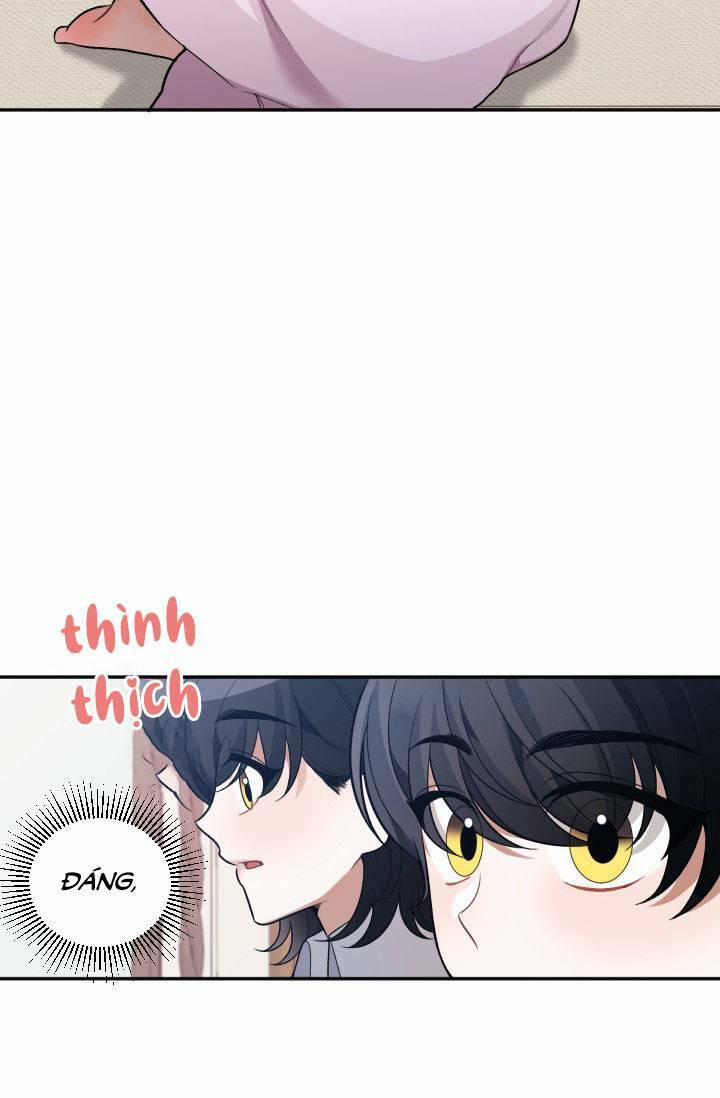 Bước Tới Con Đường Hoa 8 trang 17