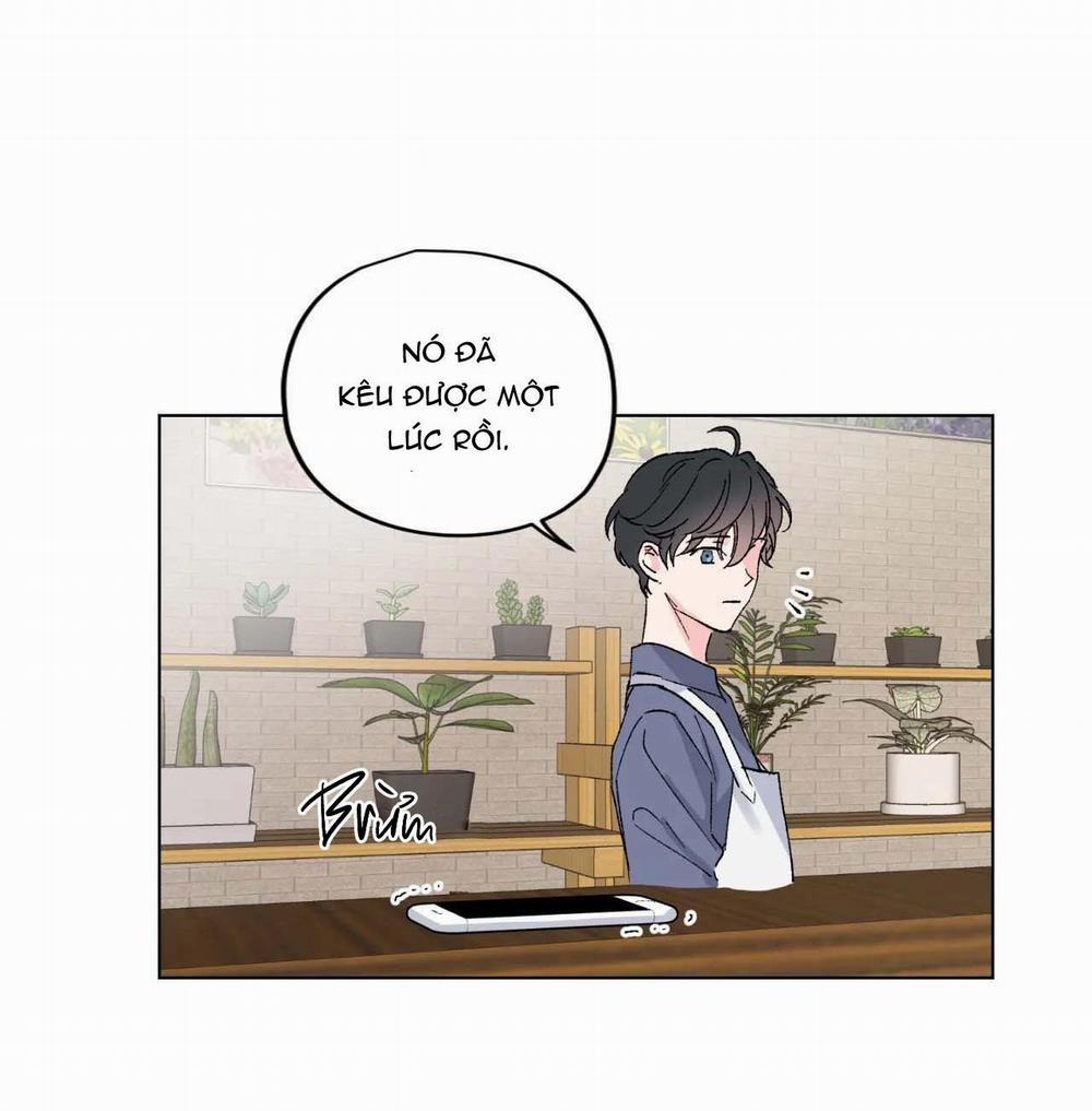 BƯỚC VÀO RẮC RỐI 3 trang 23