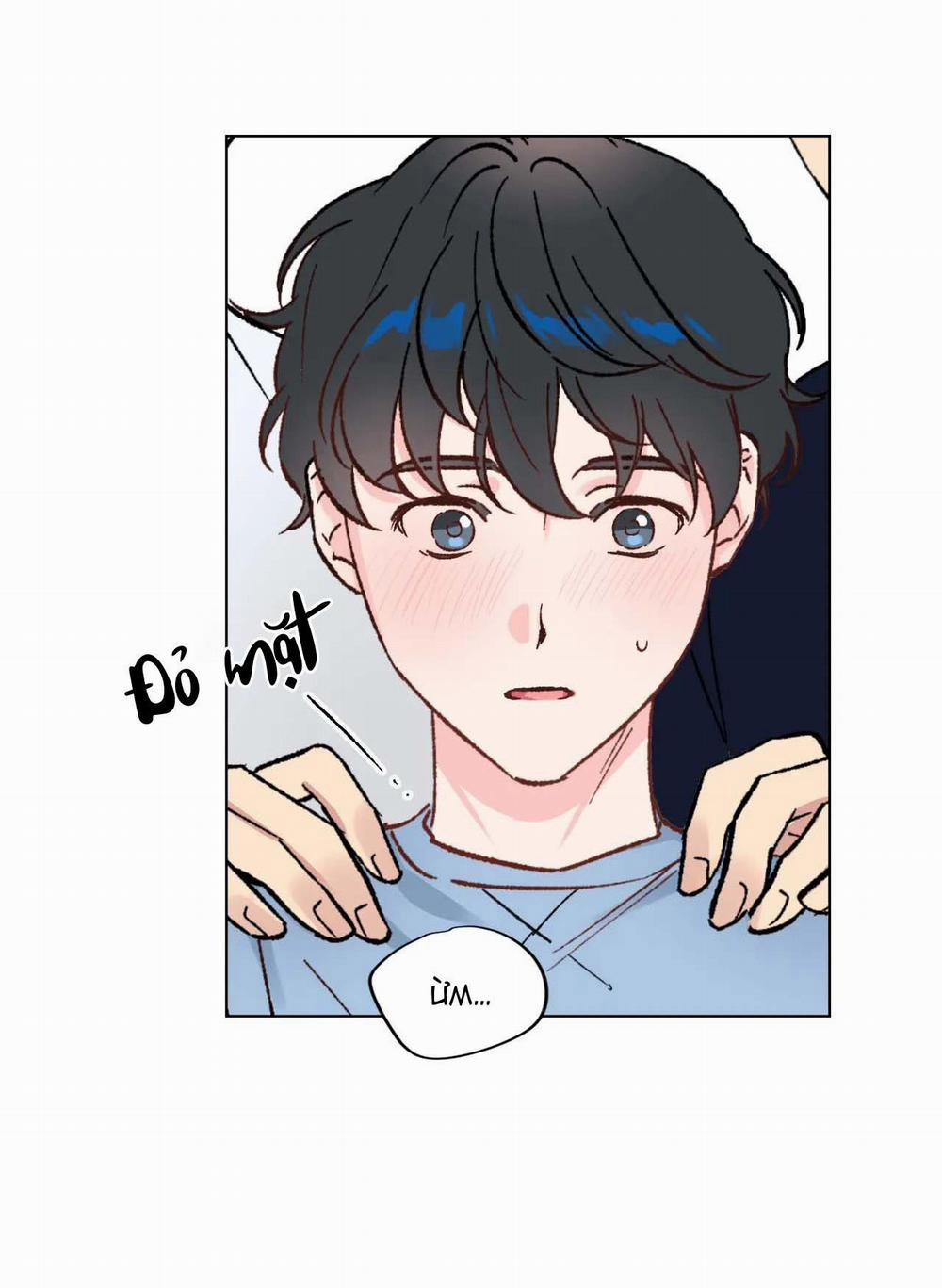 BƯỚC VÀO RẮC RỐI 5 trang 12