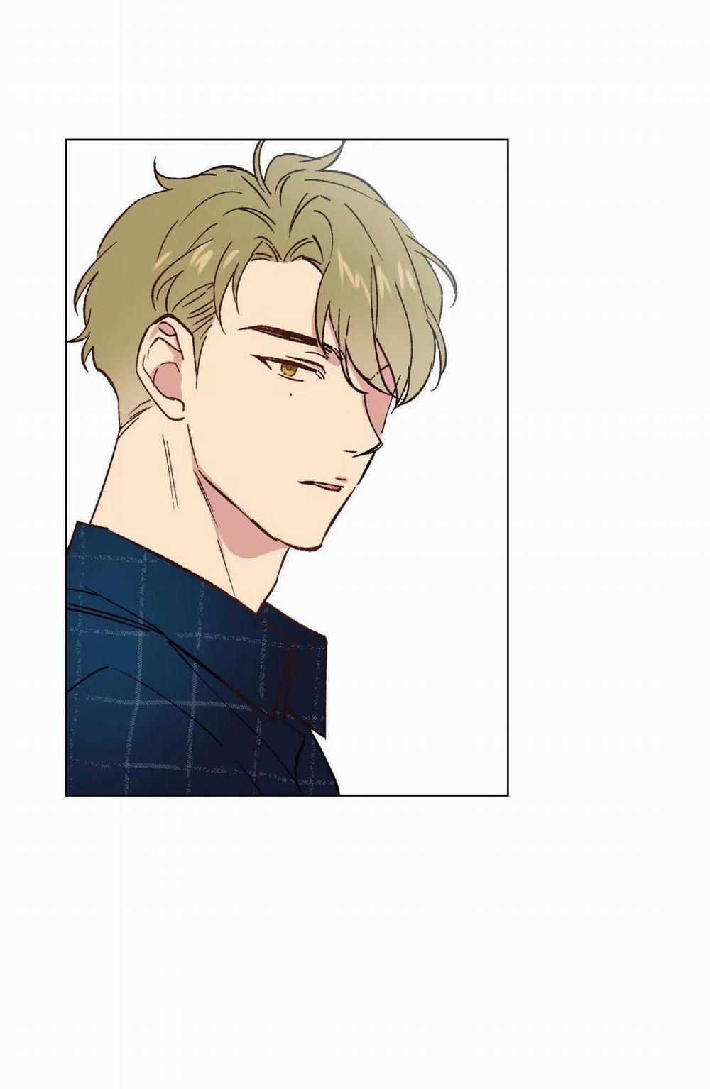 BƯỚC VÀO RẮC RỐI 5 trang 14