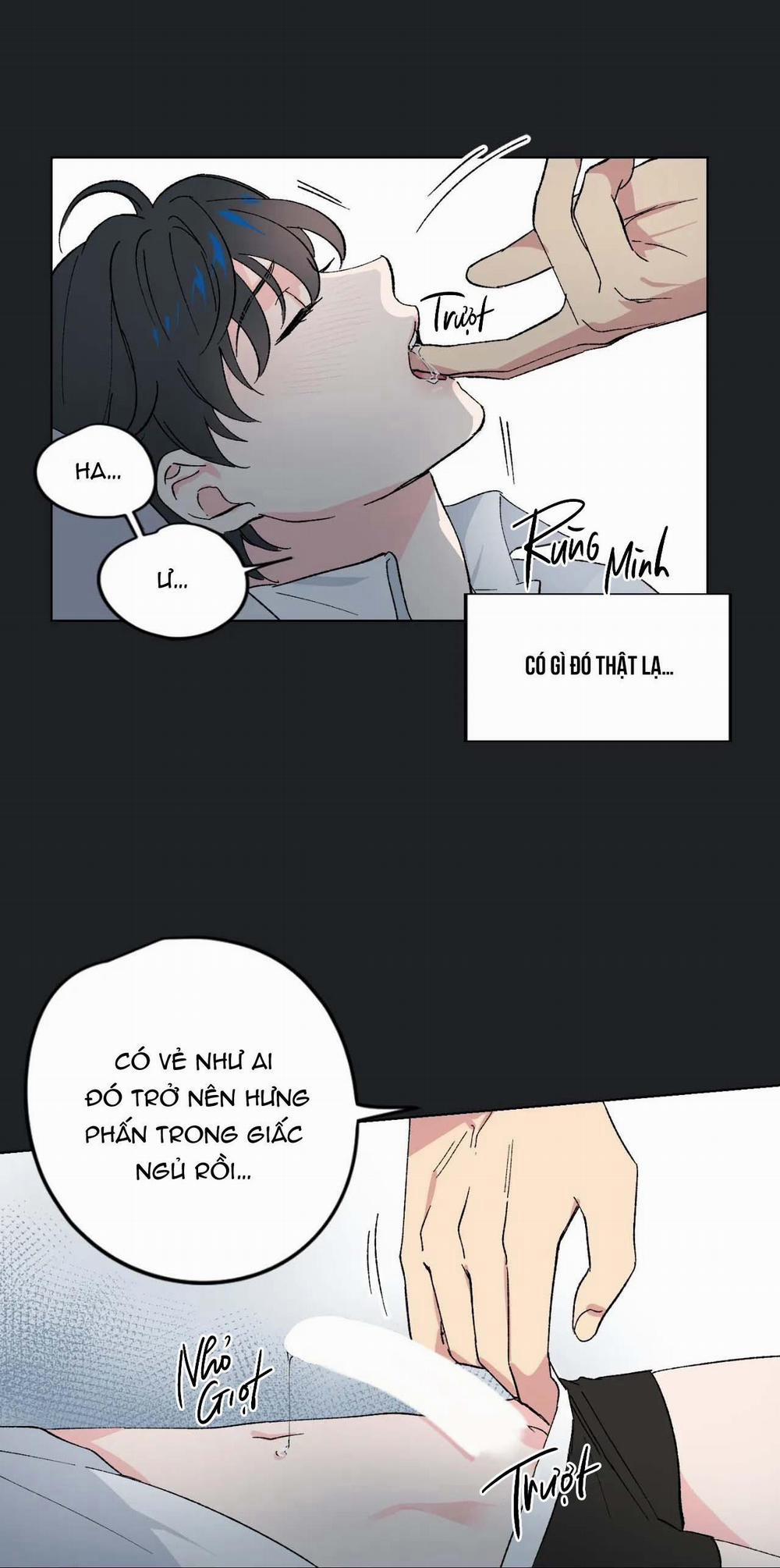 BƯỚC VÀO RẮC RỐI 6.2 trang 11