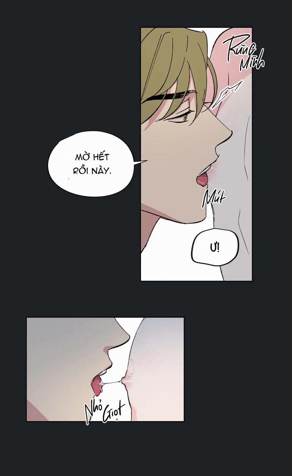 BƯỚC VÀO RẮC RỐI 6.2 trang 24