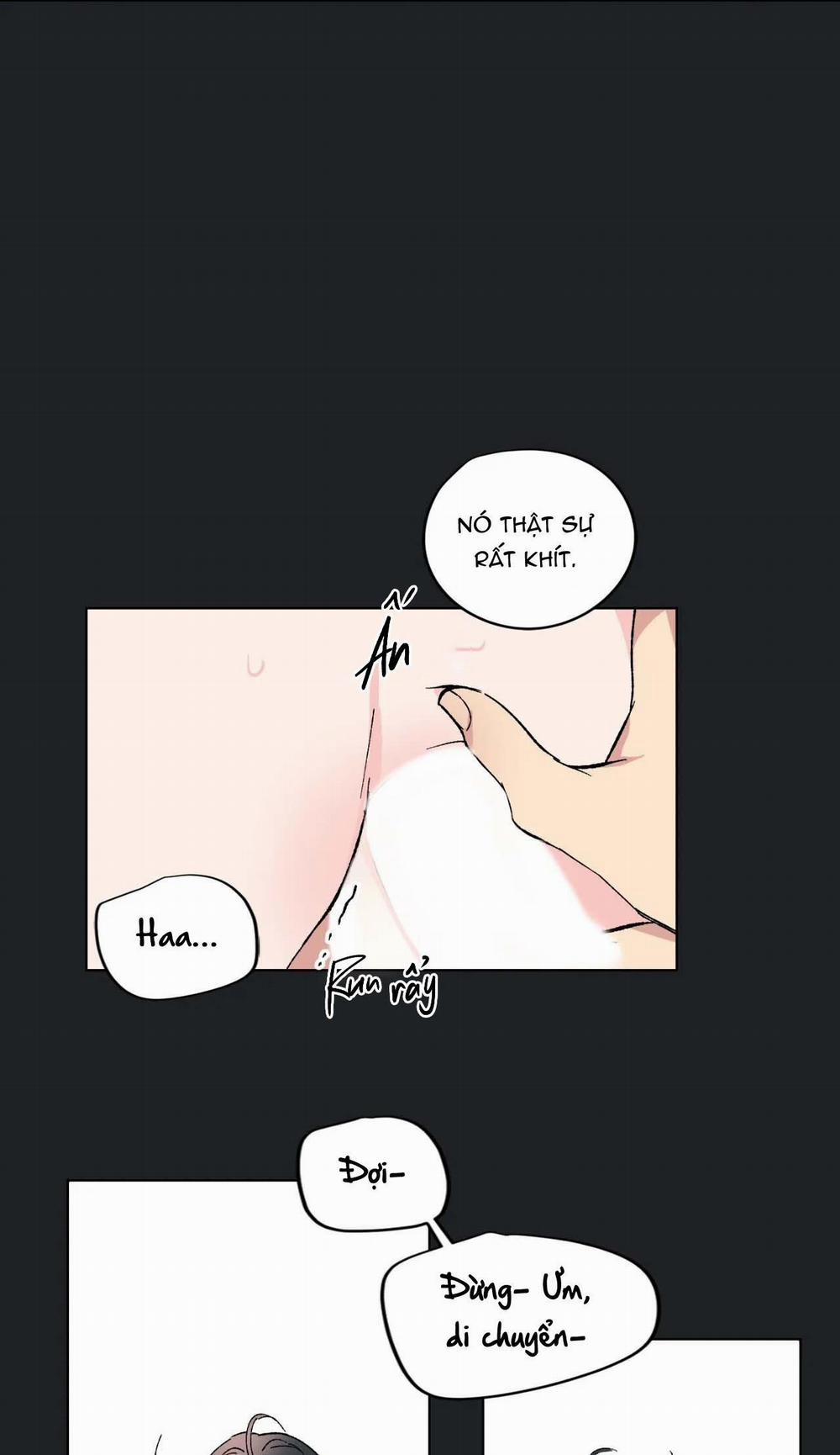 BƯỚC VÀO RẮC RỐI 6.2 trang 41