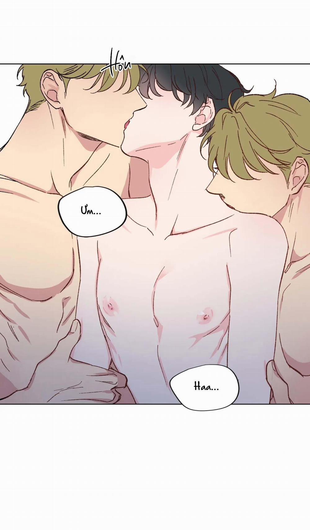 BƯỚC VÀO RẮC RỐI 6 trang 33