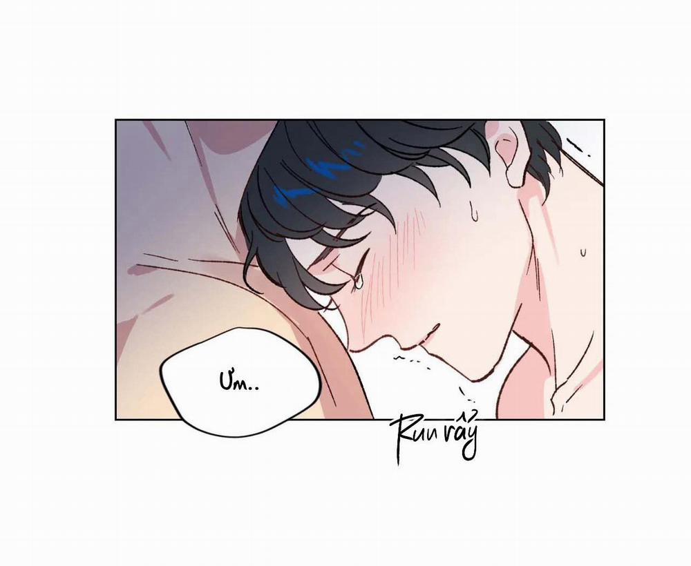 BƯỚC VÀO RẮC RỐI 6 trang 41