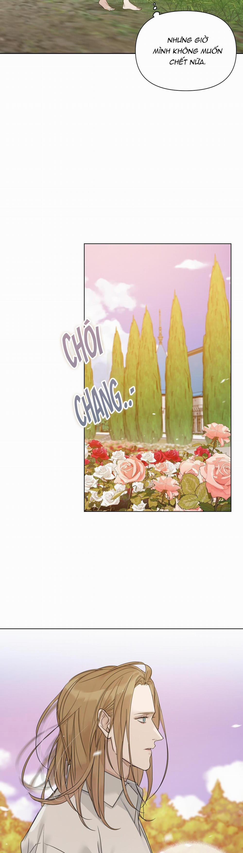Bước Vào Vườn Hồng 16 trang 38