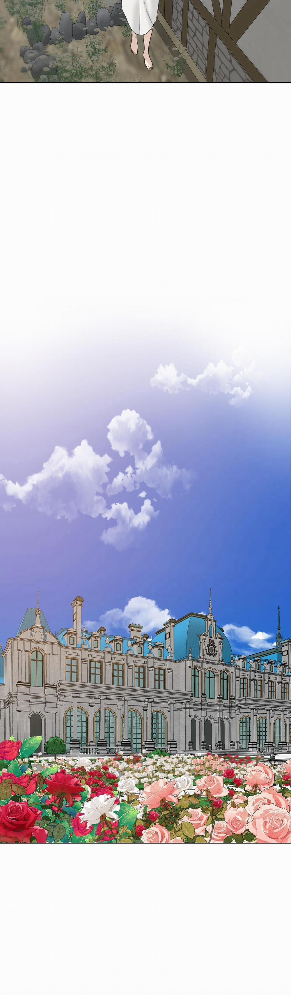 Bước Vào Vườn Hồng 16 trang 5