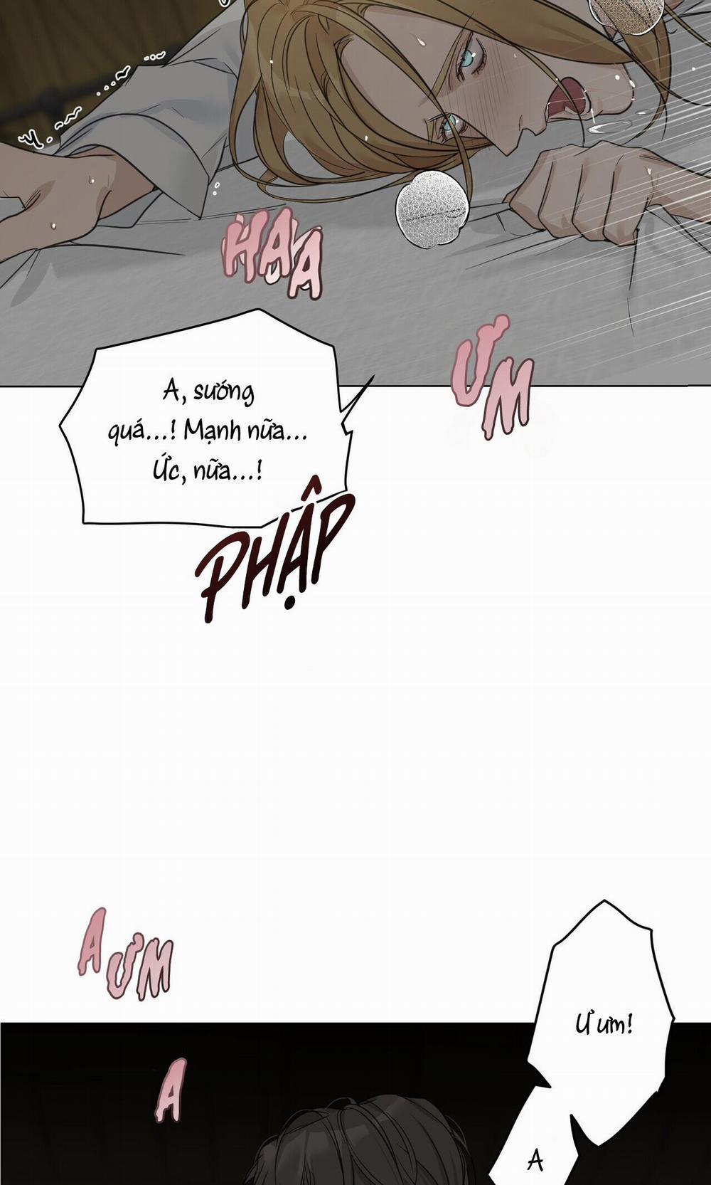 Bước Vào Vườn Hồng 17 trang 42