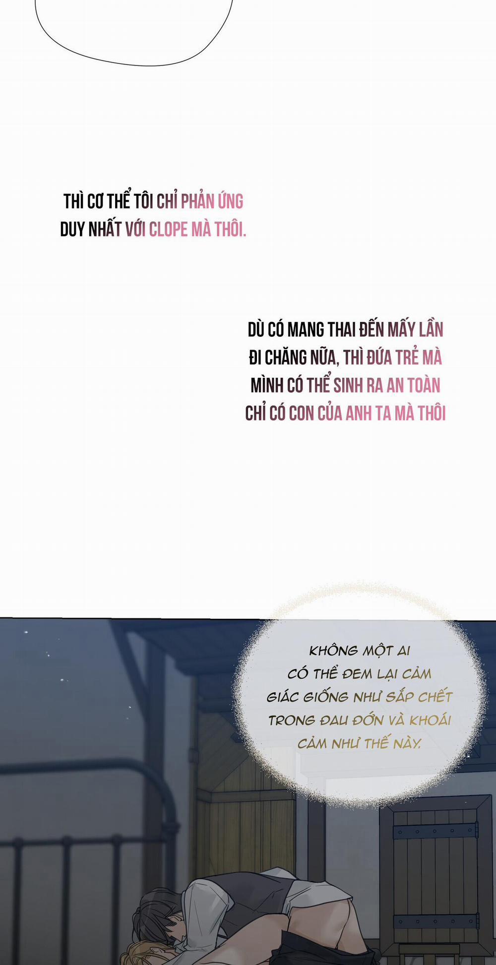 Bước Vào Vườn Hồng 17 trang 47