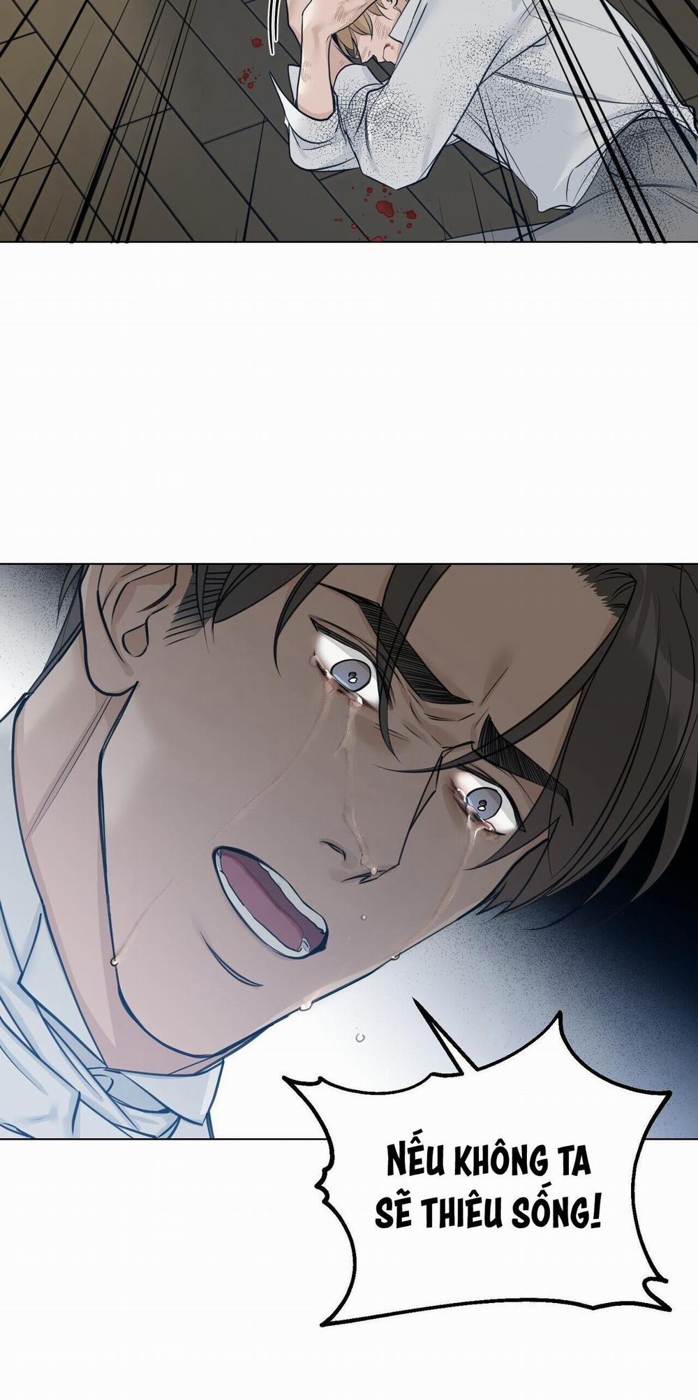 Bước Vào Vườn Hồng 20 trang 17