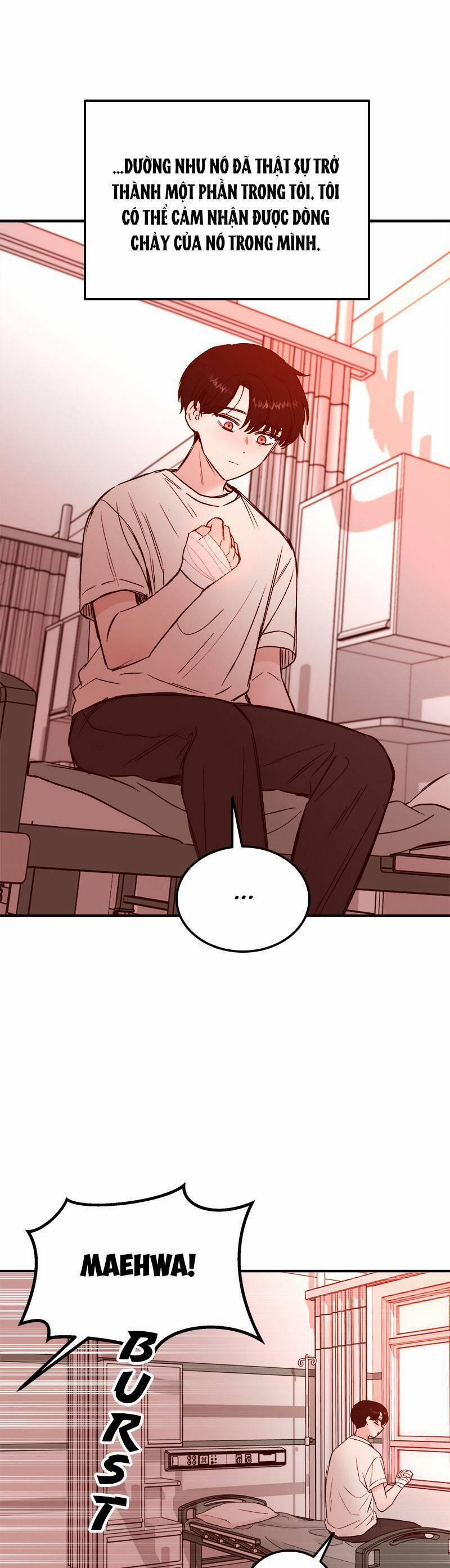 Bươm Bướm Và Máu 11 trang 12