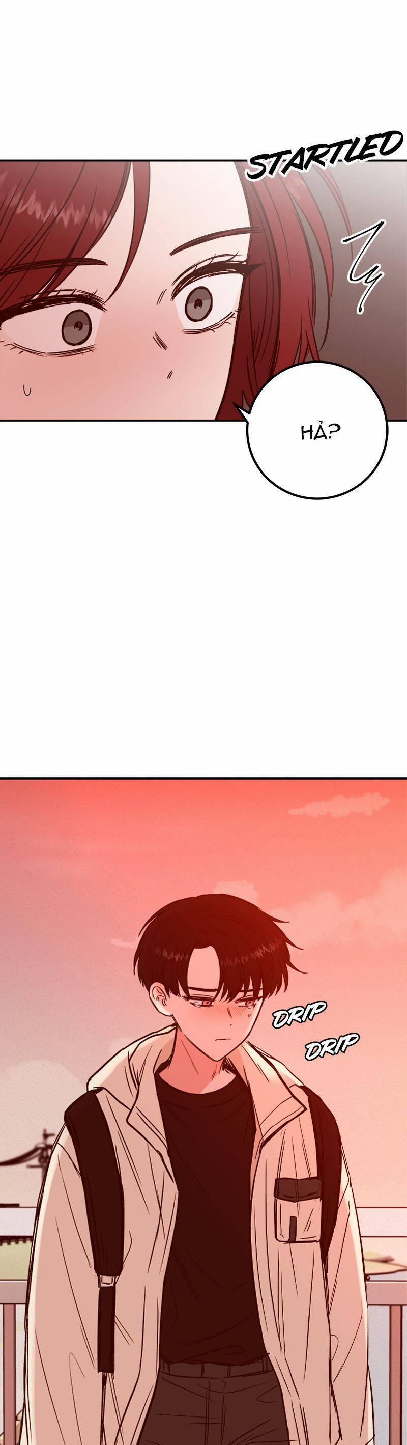 Bươm Bướm Và Máu 15 trang 4