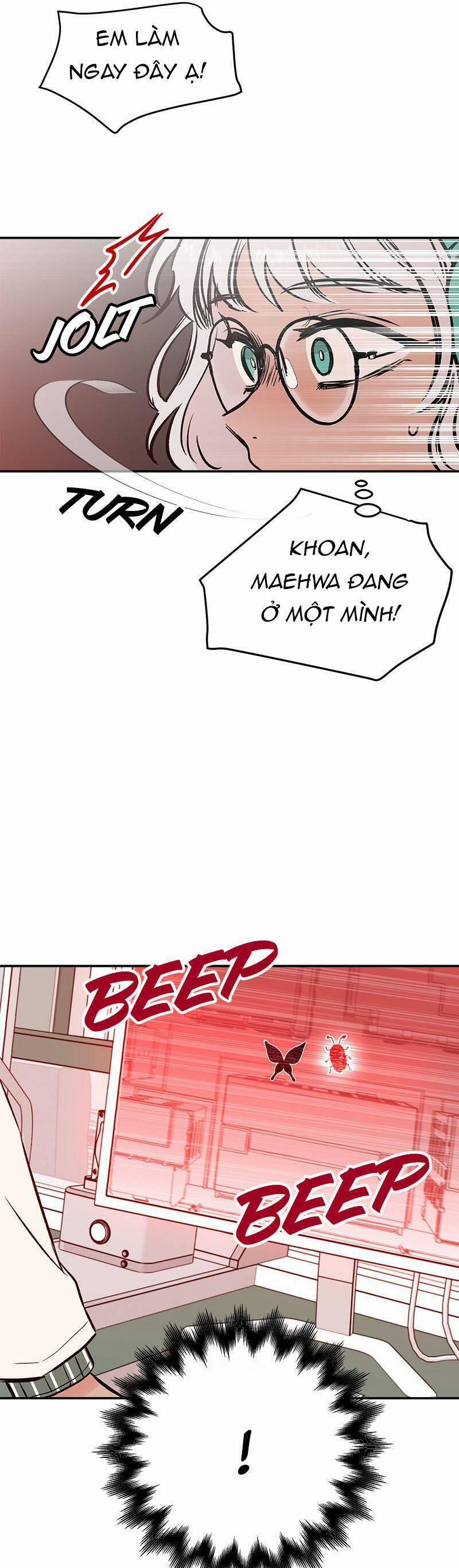 Bươm Bướm Và Máu 19 trang 24