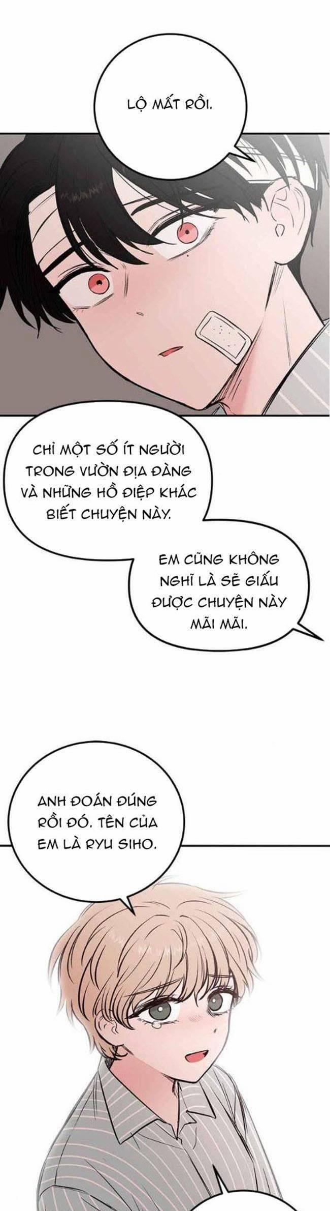 Bươm Bướm Và Máu 22 trang 4