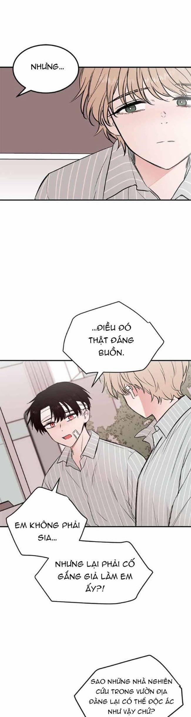 Bươm Bướm Và Máu 23 trang 20